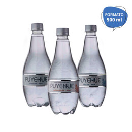 Agua Mineral Puyehue 500ml