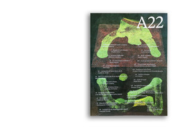 Revista A no. 22: 