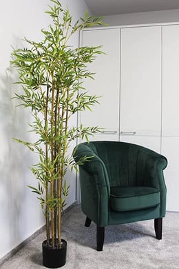 Bamboo 180 cms