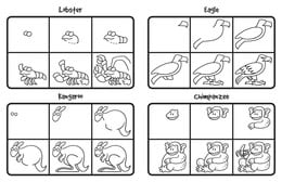 How to Draw 101 Animals