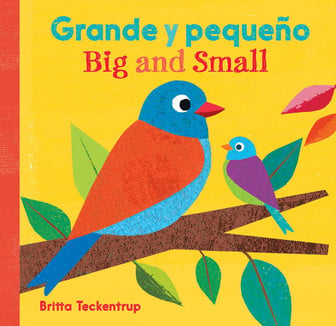 Grande y pequeño - Big and small 