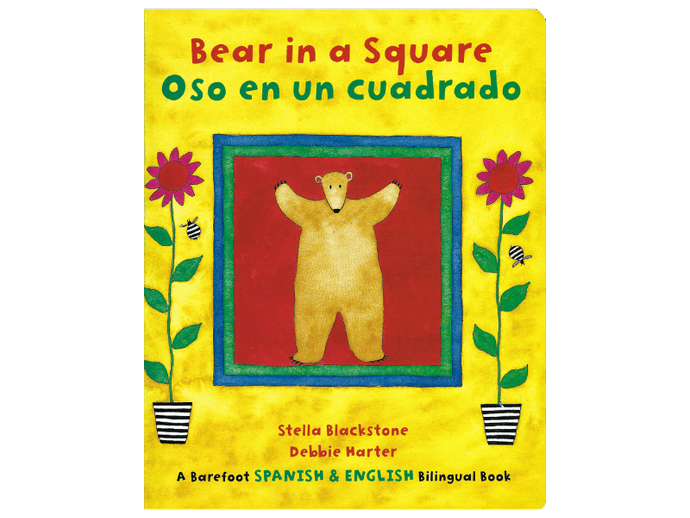 Oso en un cuadrado - Bear in a Square - Bear in a square - front.png