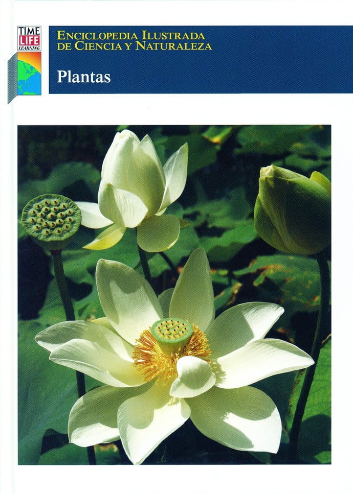 ECN Plantas  - Plantas_9789684182233.jpg