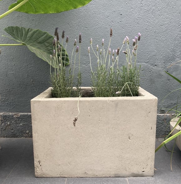 Jardinera de cemento de 60 x 40 cm