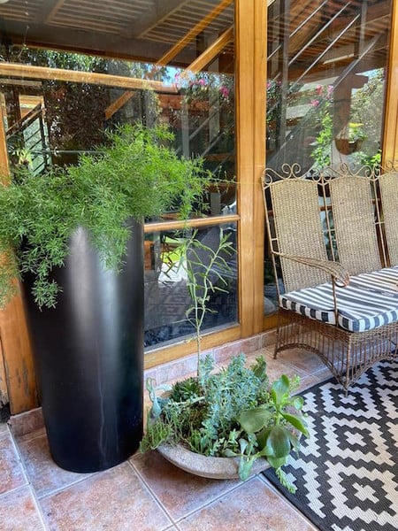 Cómo acomodar plantas en un patio pequeño: 6 ideas para sacarle partido a  tu patio, balcón o terracita