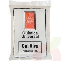 Química Universal Cal Viva 1 Kg