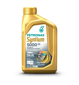 Syntium 5000 XS 5w30 1 lts
