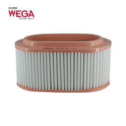 C25125 Filtro Aire Wega JFA-0H13