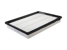 C2975 Filtro Aire Wega FAP-2844