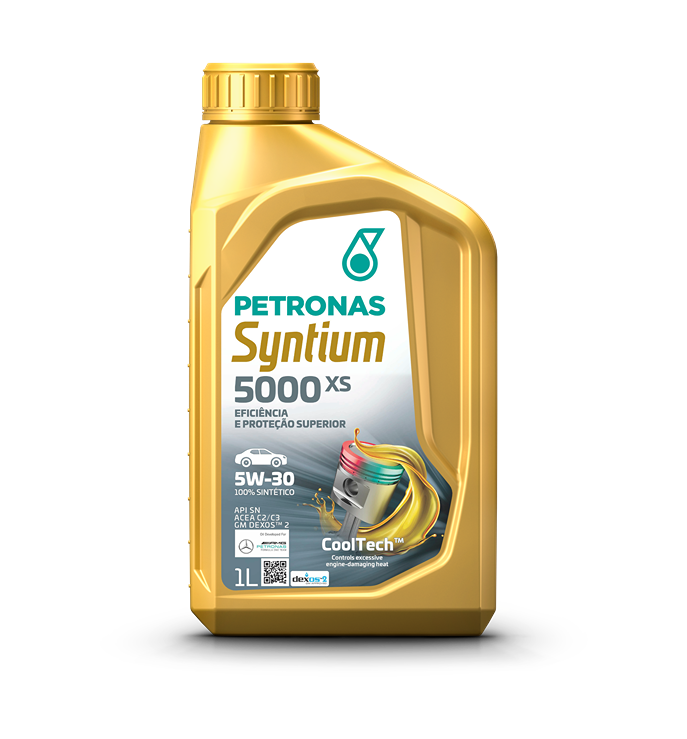 Syntium 5000 XS 5w30 1 lts - Syntium 5000 XS (DX) 5w30 (1 bidon de 1 lt)