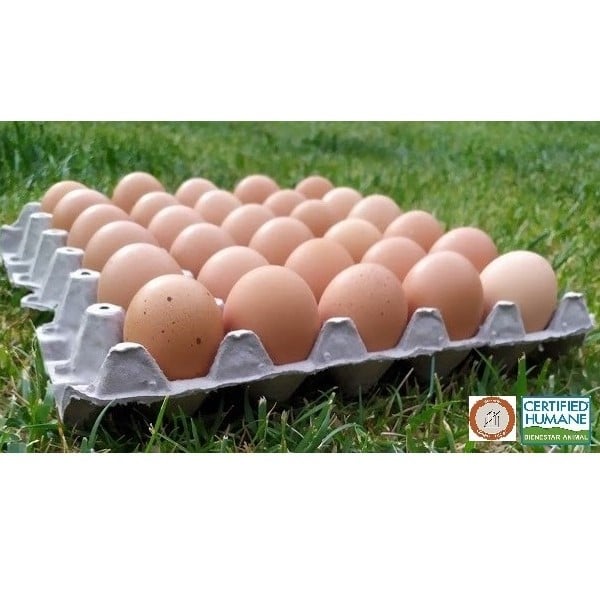 Bandeja 30 Huevos de campo tamaño tipo Extra Color y Pack de 6 Bandejas