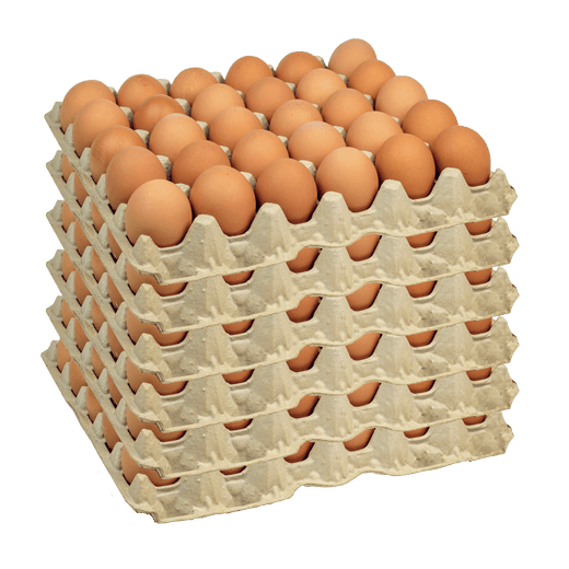 Bandeja 30 Huevos de campo tamaño tipo Extra Color y Pack de 6 Bandejas