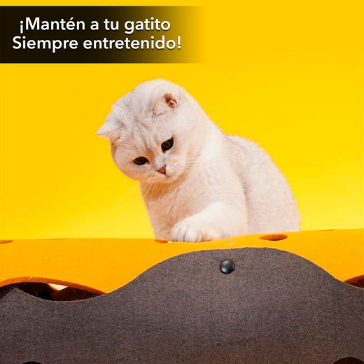 Tunel Fieltro Plegable para Gatos Multicolor