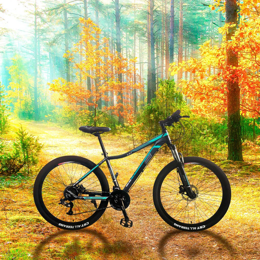 Bicicleta Mountain Bike Energy Aro 27,5