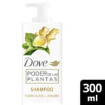 Dove Shampoo Purificacion + Jengibre 300ml 