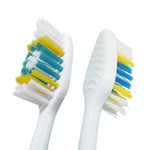 Cepillo Dental Colgate Premier Clean 14Unid