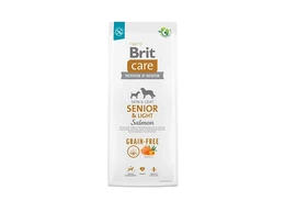 BRIT CARE SENIOR & LIGHT SALMON 3KG