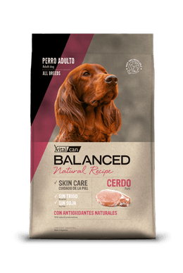 BALANCED PERRO ADULTO NATURAL RECIPE CERDO 15 KG