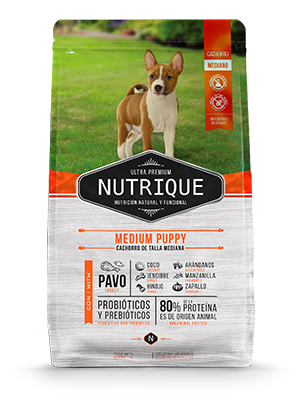 NUTRIQUE CACHORRO RAZAS MEDIANAS 12 KG - maskoticas.cl.png