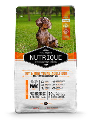 NUTRIQUE TOY & MINI ADULTO 3 KG - maskoticas.cl.png