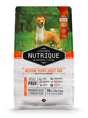 NUTRIQUE ADULTO RAZAS MEDIANAS 12 KG - maskoticas.cl.png