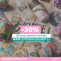 SIX PACK SURTIDO -30% DESCUENTO